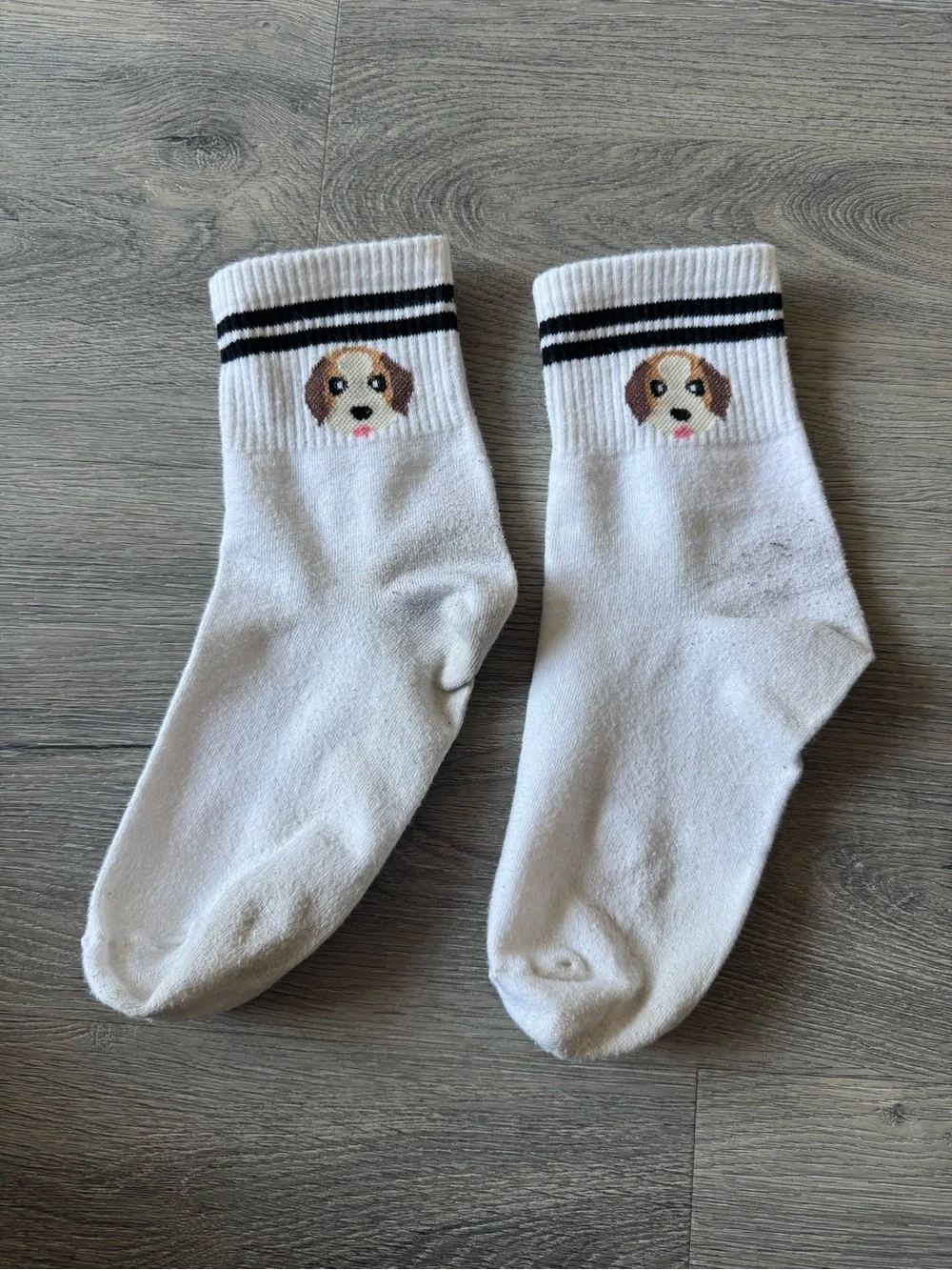 Dog Print Mini Crew Socks